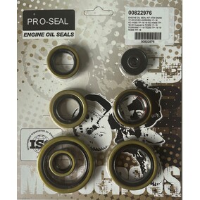 Pro Seal Husqvarna TC/TE 250-300 17-22 KTM SX/XC/EXC250-300 17-22 Oil Seal Kit