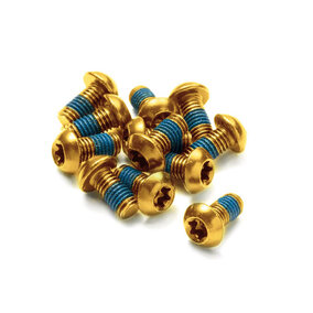 Brake Disc Rotor Bolt Set 12 pcs. M5 x 10 mm Gold