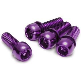 Brake Disc Brake Bolt Set 4 pcs. M6 x 18mm Purple