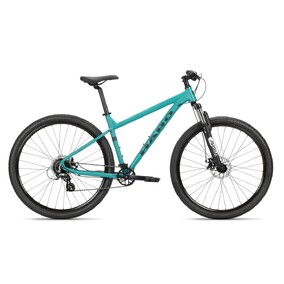 Haro Flightline 2 29 Inch Green MTB (Medium)
