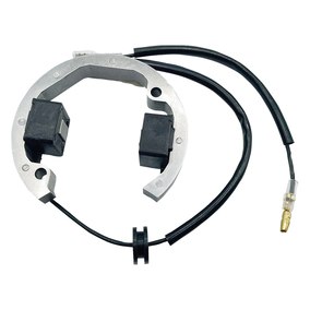 Ricks Motorsport KTM 50SX 02-23 Husqvarna TC50 17-23 Stator