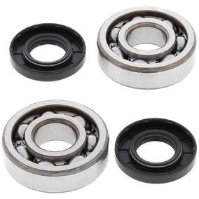 All Balls Kawasaki KX250 87-01 KDX250 91-94 Main Bearings And Seal Kit