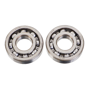 All Balls Suzuki DRZ250 01-20 Yamaha TTR250 98-13 Main Bearings
