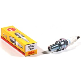 NGK CR9E Spark Plug