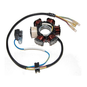 Electrosport Honda CRF80-100 04-09 XR80-100 92-03 Stator