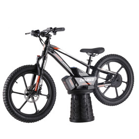 Charged 20" 500w Orange Balance E Bike