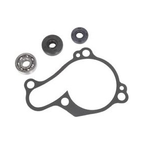 Pro Seal Yamaha YZ450F 10-13 Water Pump Kit