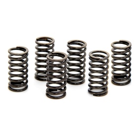 Honda CRF 450R Clutch Springs - MX Pro