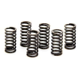 Honda CRF450R 13 Clutch Springs 