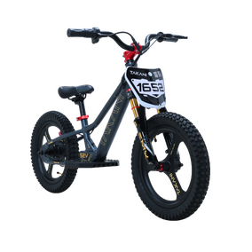 TAKANI 350W Electric Balance Bike 16'' Matte Charcoal
