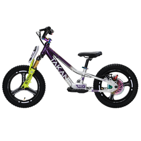 TAKANI 350W Electric Balance Bike 16'' Plum / Silver