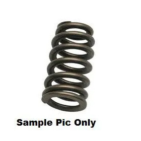 Psychic Kawasaki KX250F 04-06 Suzuki RMZ250 04-06 Inlet Valve Spring