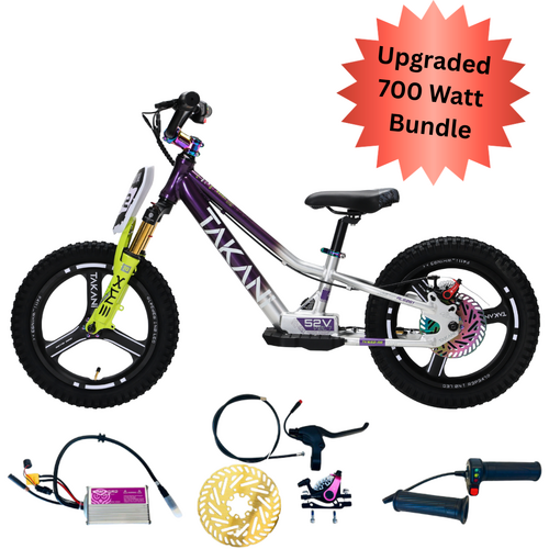 TAKANI 700W Electric Balance Bike 16'' Plum / Silver - Pro Model